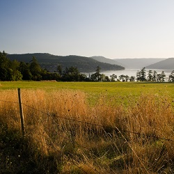 Central Saanaich farmland