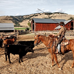 Coldstream ranch